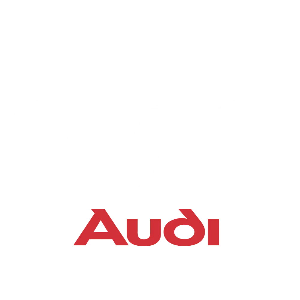 Предназначен за автомобили Audi с TDI двигатели